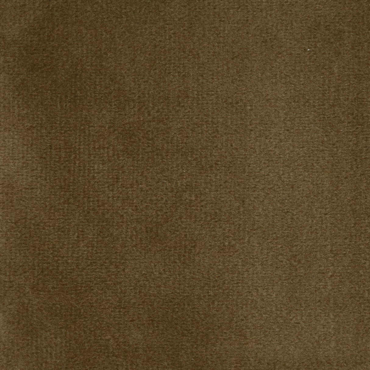 Velvet Upholstery Fabric Highbury Solid Plush Microvelvet