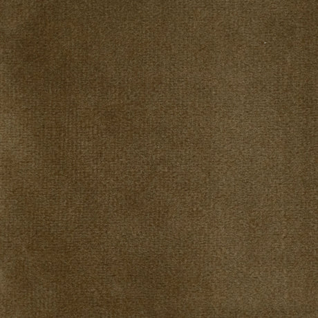 Velvet Upholstery Fabric Highbury Solid Plush Microvelvet