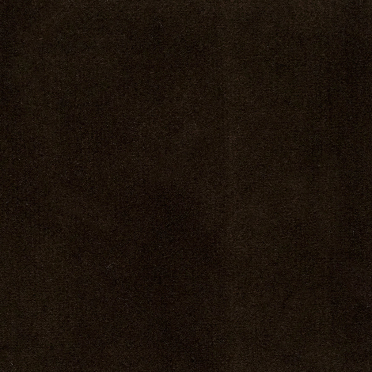 Velvet Upholstery Fabric Highbury Solid Plush Microvelvet