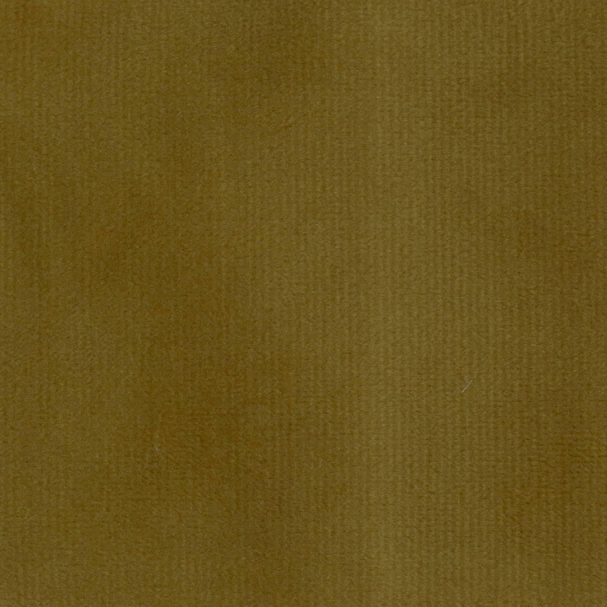 Velvet Upholstery Fabric Highbury Solid Plush Microvelvet