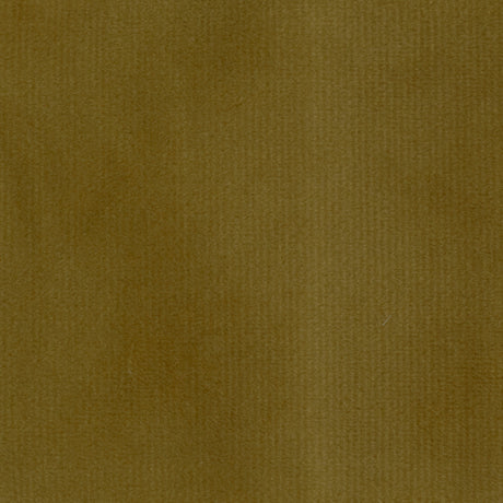 Velvet Upholstery Fabric Highbury Solid Plush Microvelvet