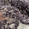 3D Beaded Floral Lace Mesh Fabric