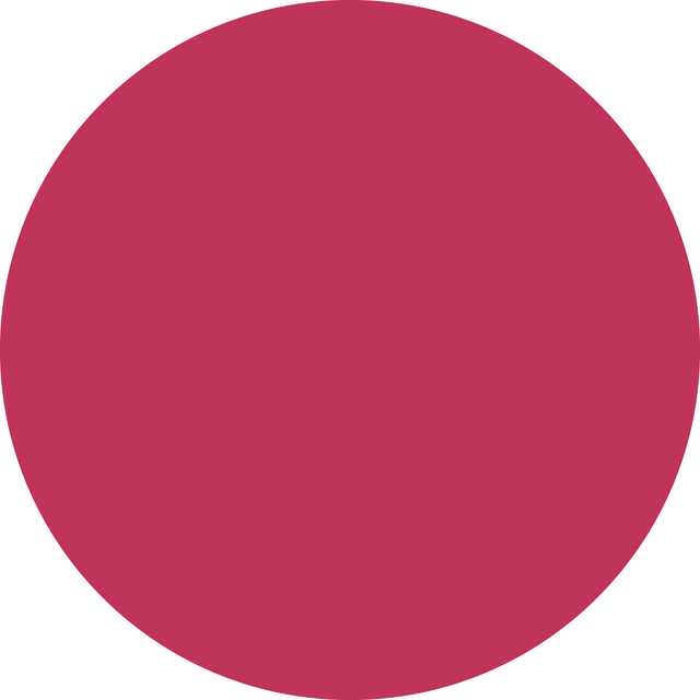 AquaBrite Opaque Waterbased Ink - Rubine, Textile Screen Printing Ink (8 Oz)