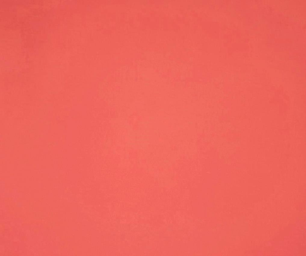 Bamboo Spandex Jersey Coral