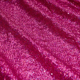 Sequin Spandex Holographic Tricot