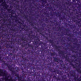Cosmic GLOW Nylon Spandex Sequin Fabric - Embroidered Holographic Micro Sequins, 51/52" Width (1 Yard)