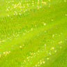 Sequin Spandex Pearl Fabric