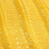 Sequin Spandex Pearl Fabric