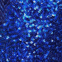 Sequin Spandex Fabric
