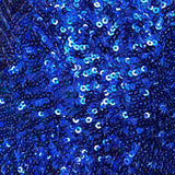 Sequin Spandex Fabric