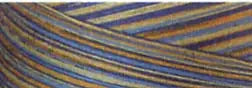Cotton Quilting Thread 40wt Variegated French Country 3000 Yds