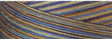 Cotton Quilting Thread 40wt Variegated French Country 3000 Yds