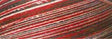 Cotton Quilting Thread Variegated Holiday 40wt 3000yds