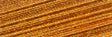 Cotton Quilting Thread Variegated Peachy Tones 40wt 3000yds