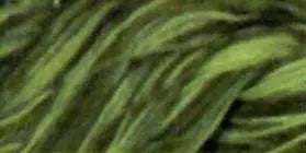 Cotton Quilting Thread Variegated Olive Hues 3000yd