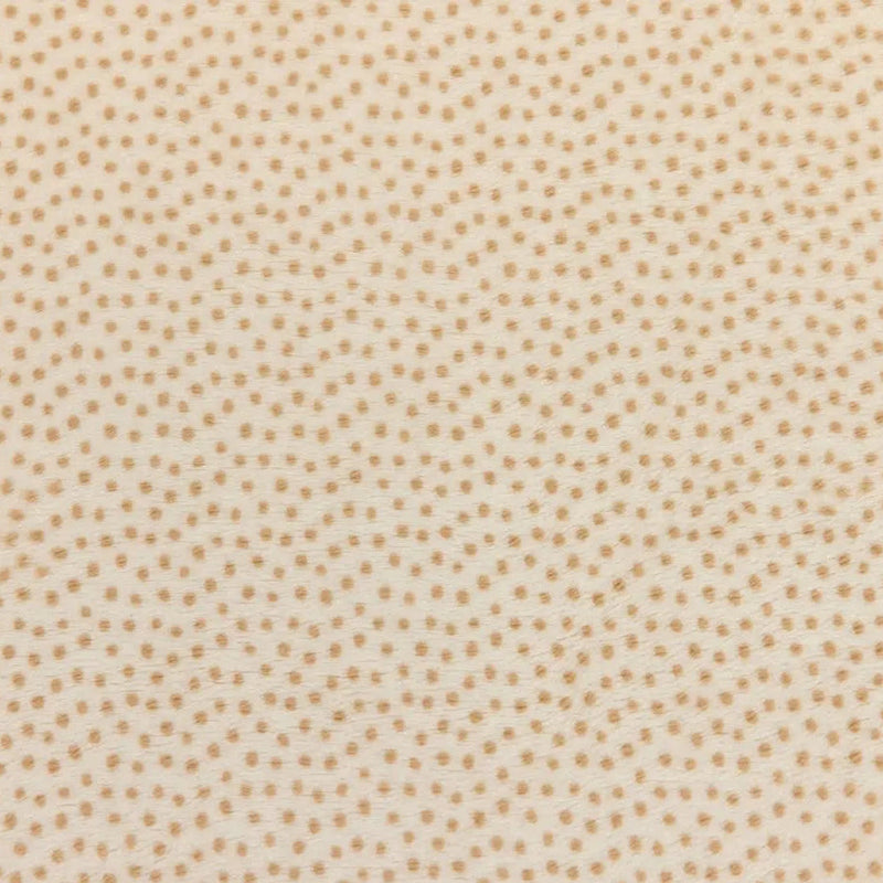 Minky Plush Dottie Cuddle Fabric Cream Sand Extra Wide