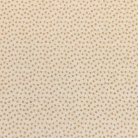 Minky Plush Dottie Cuddle Fabric Cream Sand Extra Wide