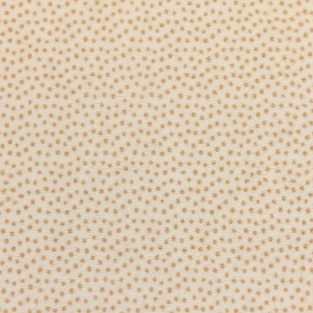 Minky Plush Dottie Cuddle Fabric Cream Sand Extra Wide