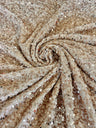 Stretch Sequin Velvet