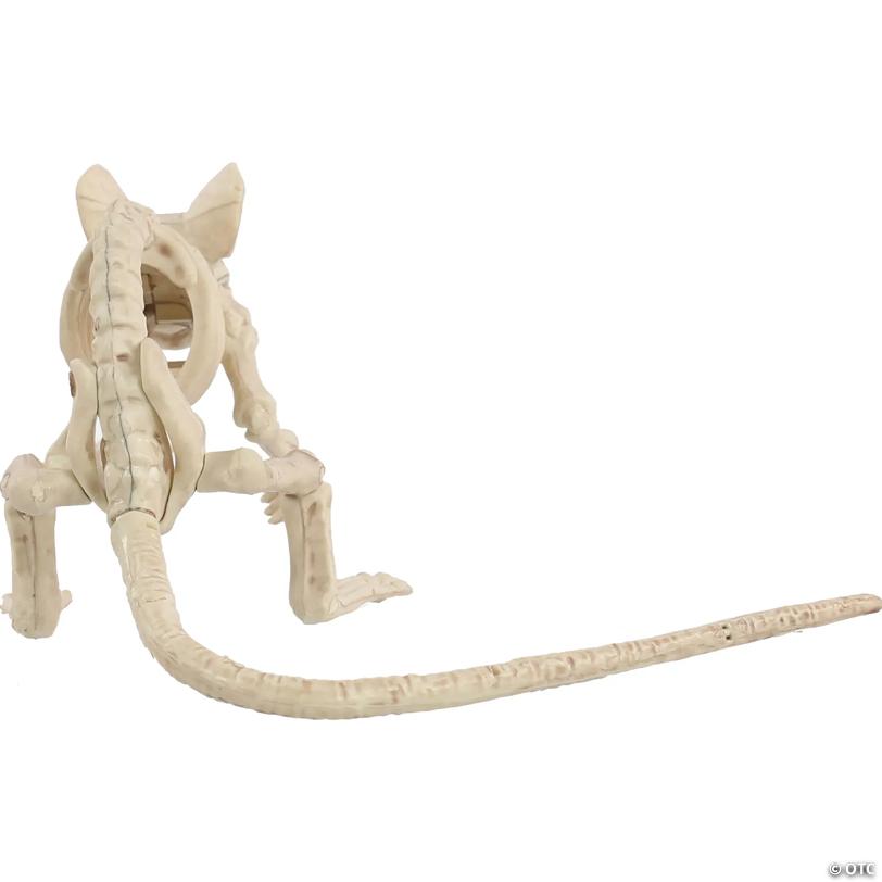 Creepy Crouching Mouse