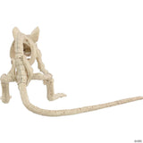 Creepy Crouching Mouse