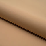 Delite Lightweight Nylon Spandex Fabric - Solid Color, 50" Width, 4-Way Stretch (1 Yard)
