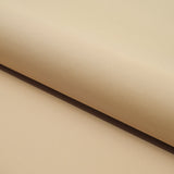 Delite Lightweight Nylon Spandex Fabric - Solid Color, 50" Width, 4-Way Stretch (1 Yard)