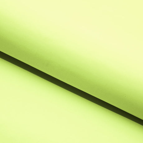 Delite Lightweight Nylon Spandex Fabric - Solid Color, 50" Width, 4-Way Stretch (1 Yard)