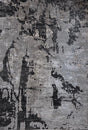 DEV309 Polypropylene Polyester Area Rug - Color Shifting Flat Weave, 5' 4" X 7' 8", 8' X 11" (1 Unit)