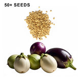Round Eggplant Mix Seeds Three Color Variety Heirloom Non GMO Garden Collection