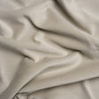Polyester and Cotton Upholstery Velvet - Platinum - Corry Collection