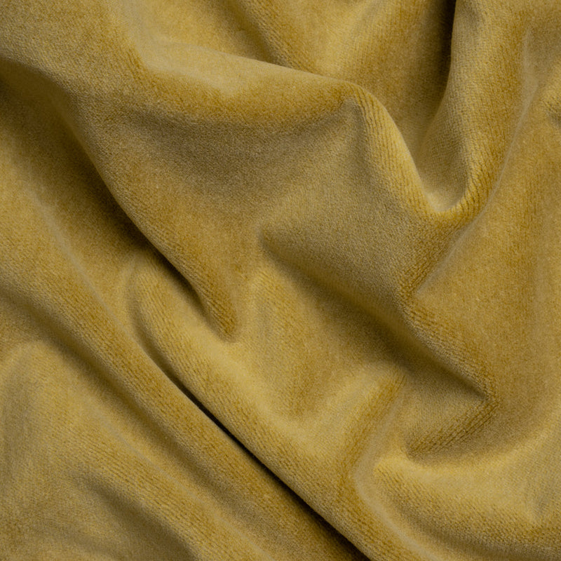 Cotton and Polyester Upholstery Velvet - Citron - Banton Collection