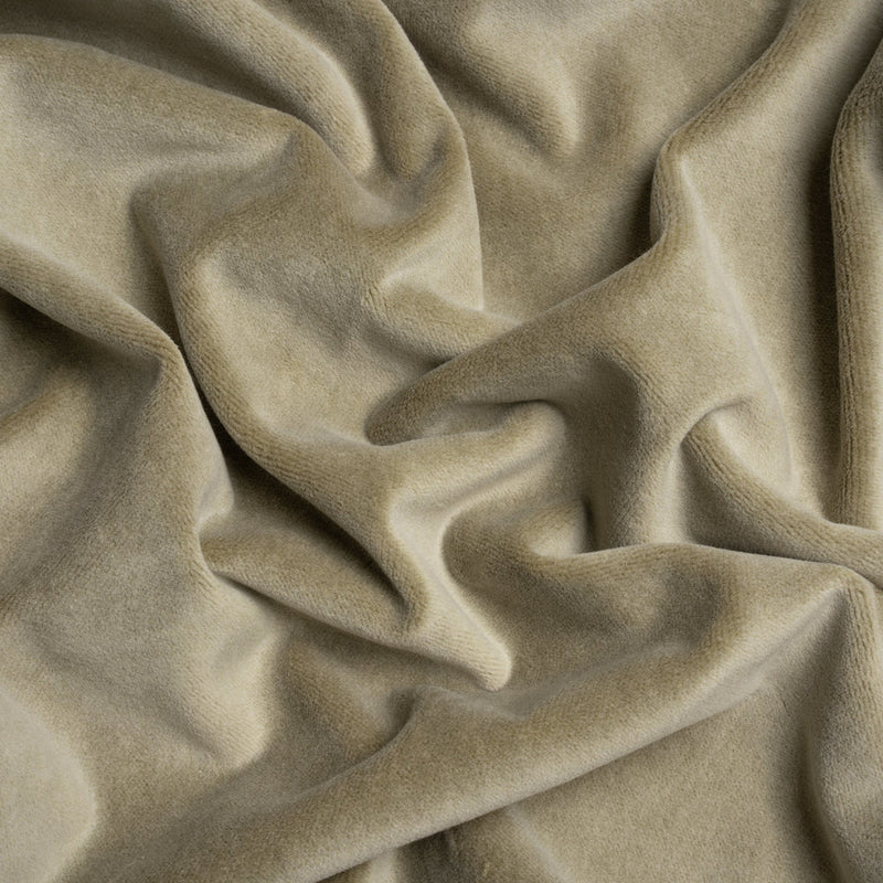 Cotton and Polyester Upholstery Velvet - Taupe - Banton Collection
