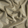 Cotton and Polyester Upholstery Velvet - Taupe - Banton Collection