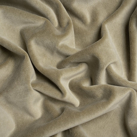 Cotton and Polyester Upholstery Velvet - Taupe - Banton Collection