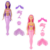 Mermaid Box Set (1 PC)