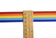 Rainbow Athletic Sports Trim