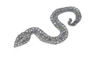 Beaded Snake Applique with Sequins