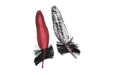 Feather Applique Red Black 5 x 1.5