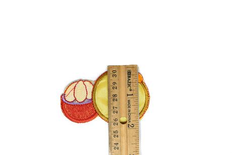 Iron-On Fruit Appliques Assorted Sizes