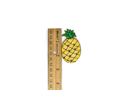 Iron-On Fruit Appliques Assorted Sizes