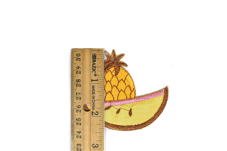 Iron-On Fruit Appliques Assorted Sizes