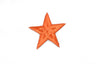 Embroidered Star Applique 2.50"