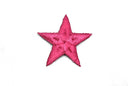 Embroidered Star Applique 2.50"