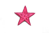 Embroidered Star Applique 2.50"