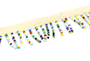 Beaded Fringe Trim Multi-Color 1"
