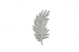 Feather Rhinestone Brooch