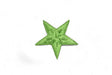 Embroidered Star Applique Green Iron-On 1.75"