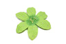 Rhinestone Flower Pin-On Applique 5"
