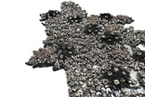 Floral Applique Rhinestone Beaded Brown